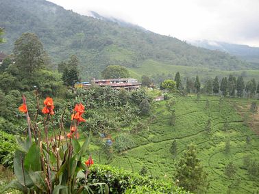 IMG_3719