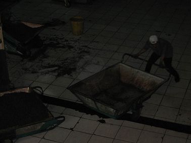 IMG_3755