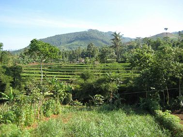IMG_3860