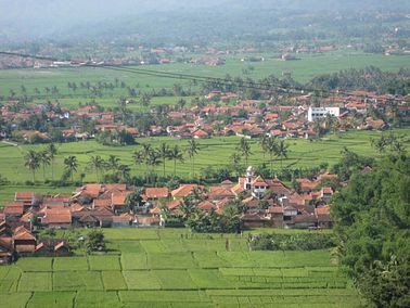 IMG_3871