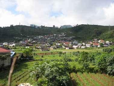 IMG_3939