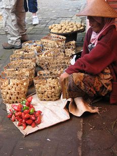 IMG_3958