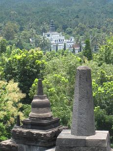 IMG_4020