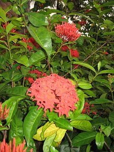 IMG_4192