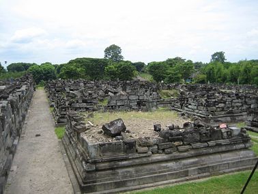 IMG_4220