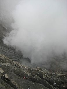 IMG_4294