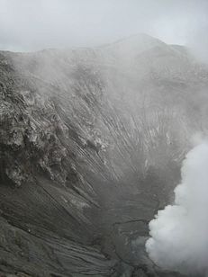 IMG_4304