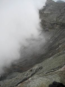 IMG_4305