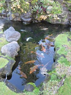 IMG_4327