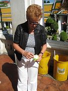 IMG_2596