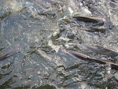 IMG_2669