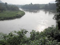 IMG_2772