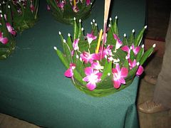 IMG_2803