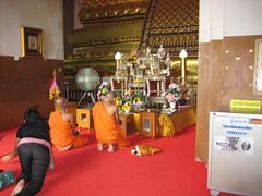 IMG_2880