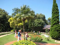 IMG_2973
