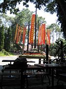 IMG_2986