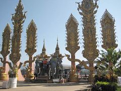 IMG_3004