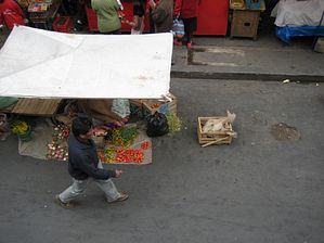 IMG_0572