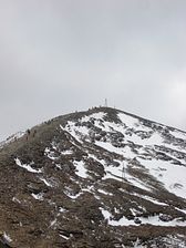 IMG_0659