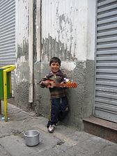 IMG_0677