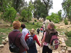 IMG_0065