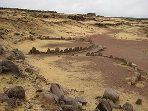 IMG_0101