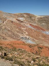 IMG_0299