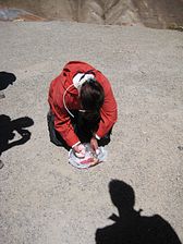 IMG_0306
