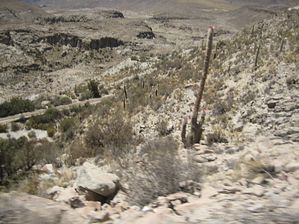 IMG_0349