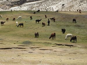 IMG_0368