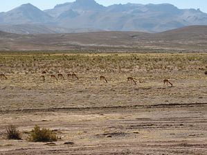 IMG_0376