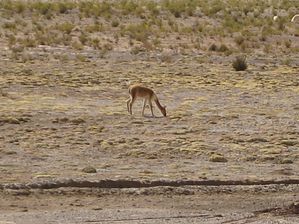 IMG_0377