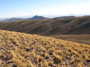 IMG_0382