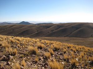 IMG_0383