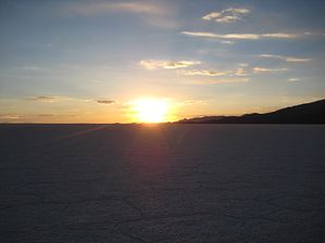 IMG_0495