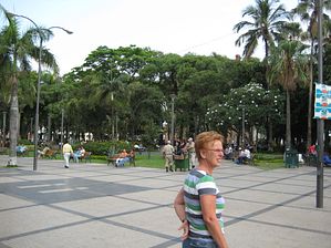 IMG_0141