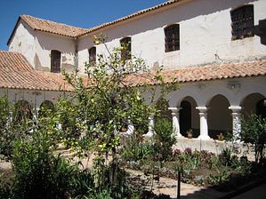 IMG_0232