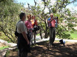 IMG_0239
