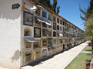 IMG_0252