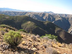 IMG_0272