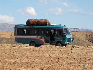 IMG_0276