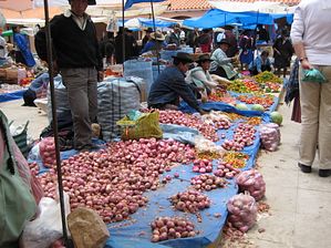 IMG_0211