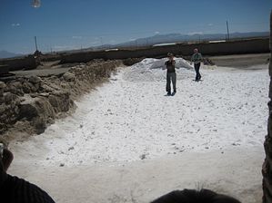 IMG_0422