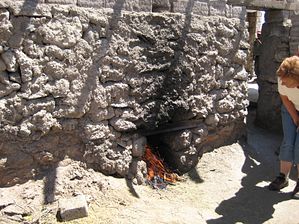 IMG_0429
