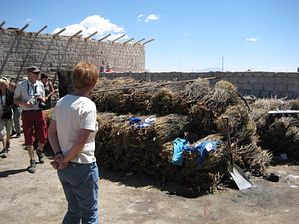IMG_0432