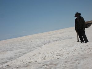 IMG_0442
