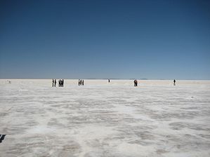 IMG_0446