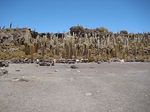 IMG_0461