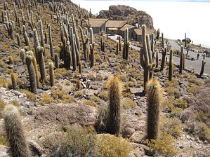 IMG_0464
