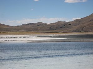 IMG_0475